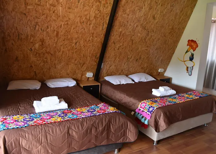 Bed and breakfast New Experiences Valle Sagrado
